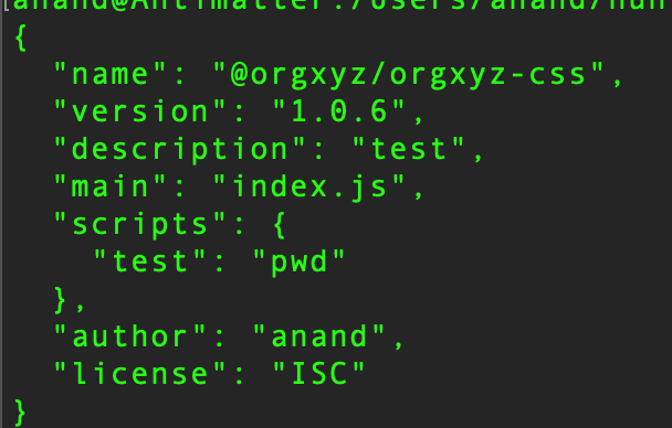 package.json