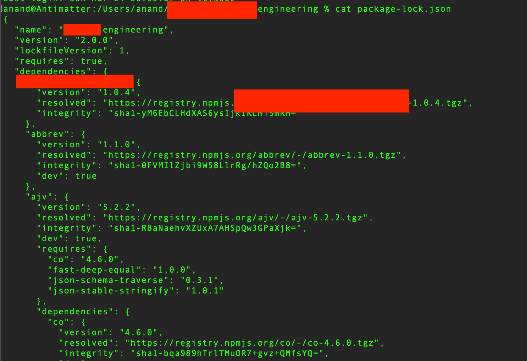 package-lock.json screenshot